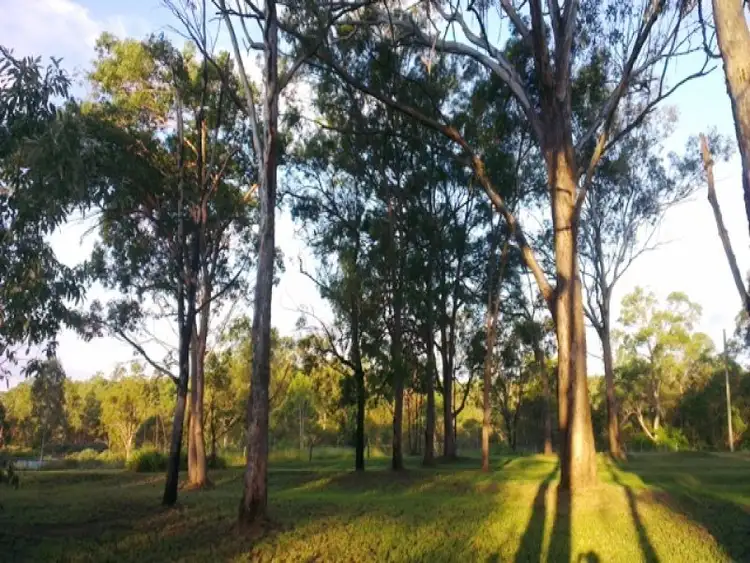 Fourth view of Homely rural property listing, 22 Ella Street, Blackstone QLD 4304