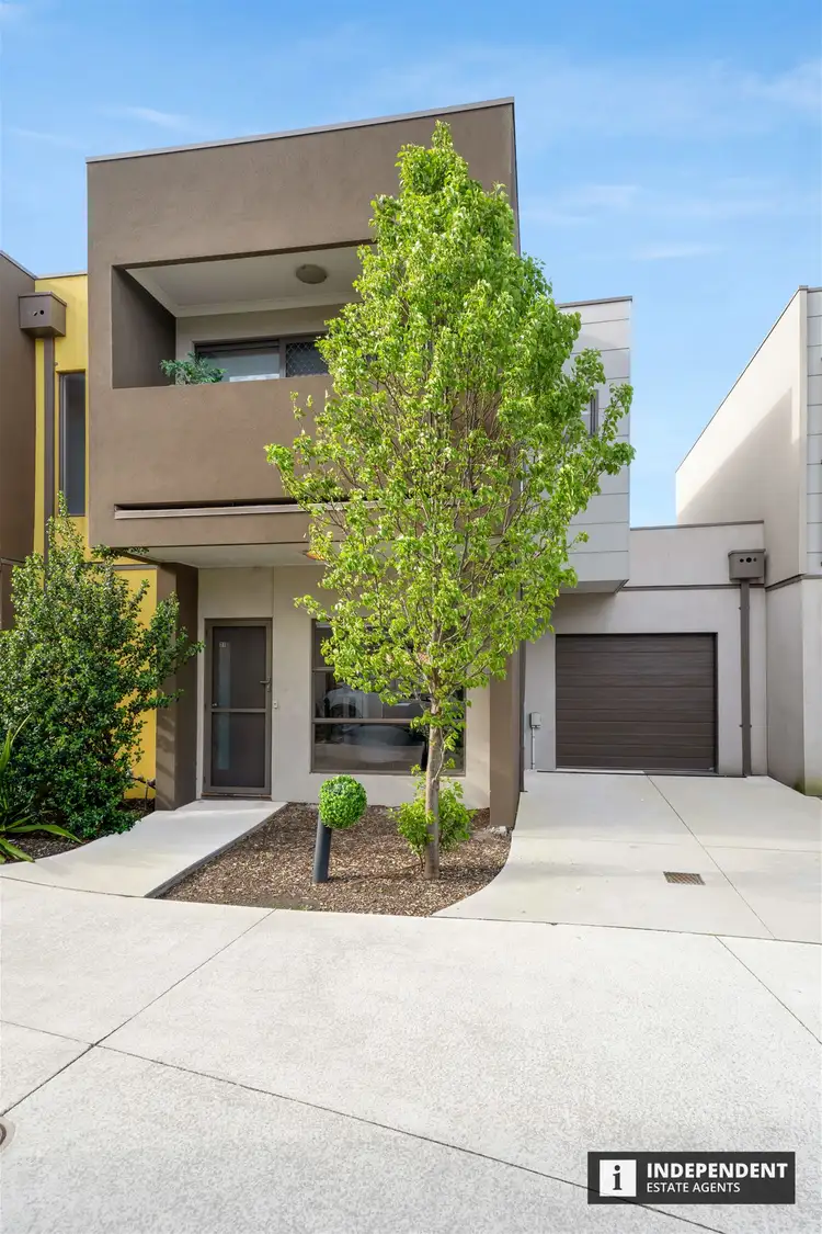 Second view of Homely house listing, 31 Zeta Circuit, Cranbourne North VIC 3977