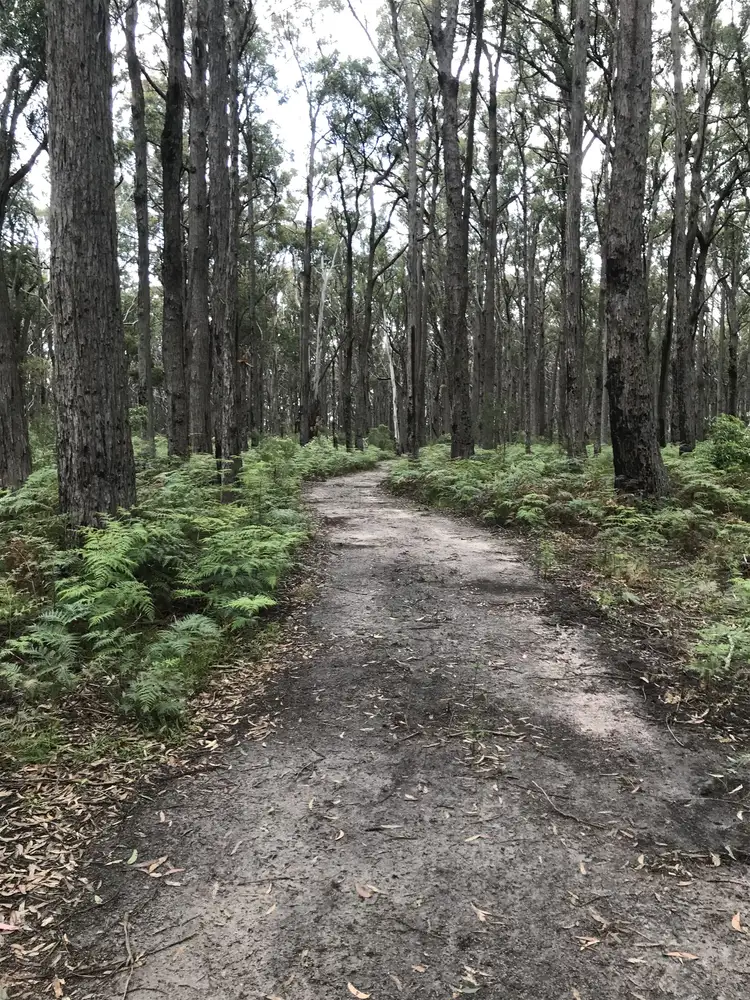 Main view of Homely land listing, Lot 2 Ingles Road, Devon North VIC 3971