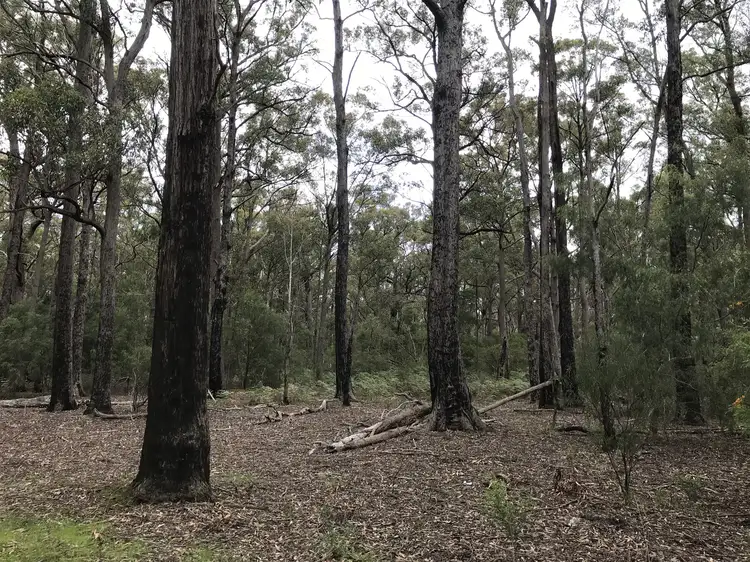 Second view of Homely land listing, Lot 2 Ingles Road, Devon North VIC 3971