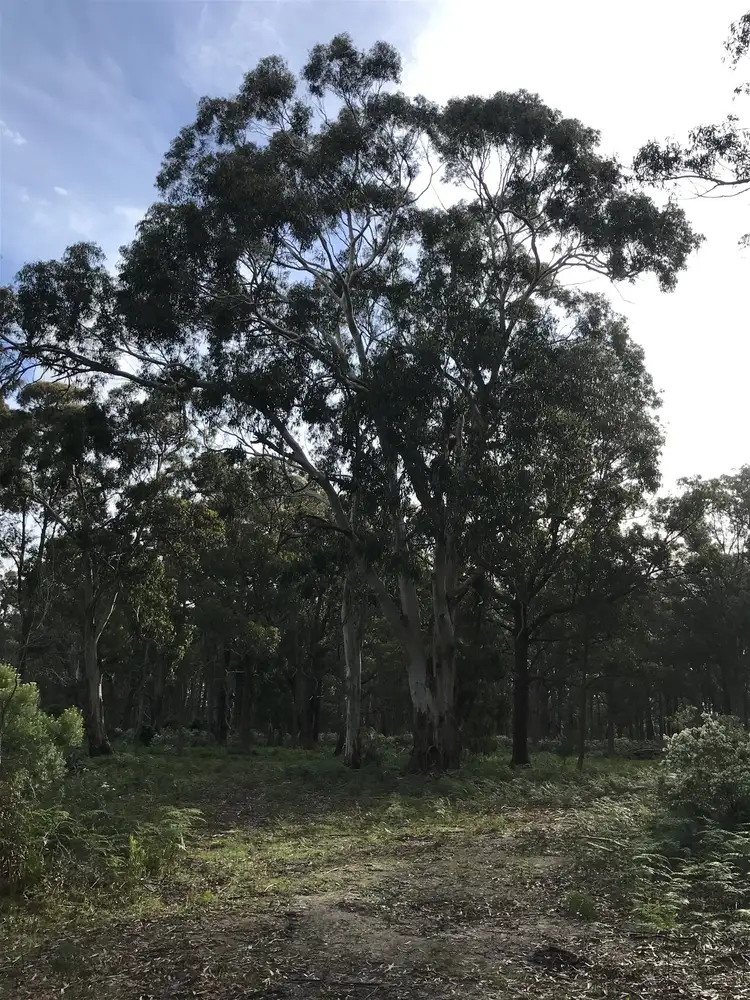 Third view of Homely land listing, Lot 2 Ingles Road, Devon North VIC 3971