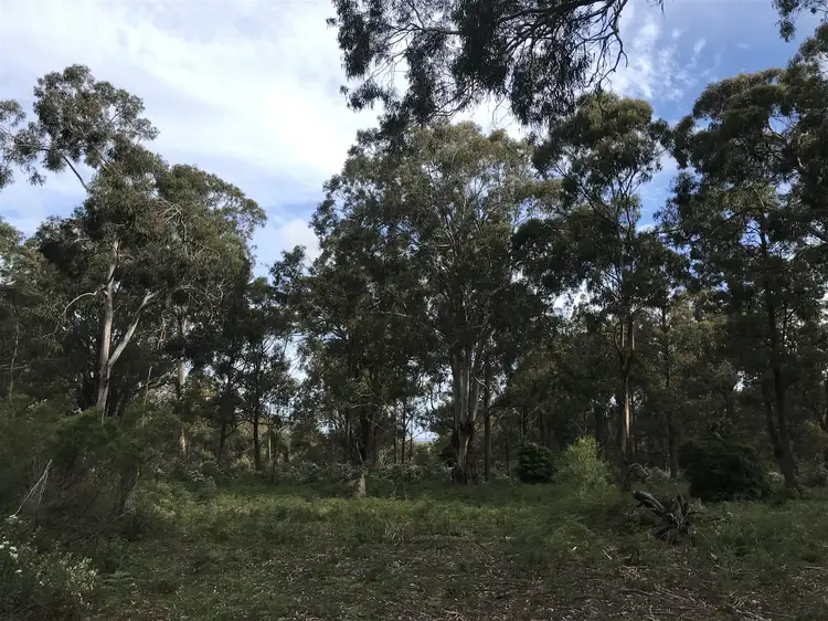 Fourth view of Homely land listing, Lot 2 Ingles Road, Devon North VIC 3971