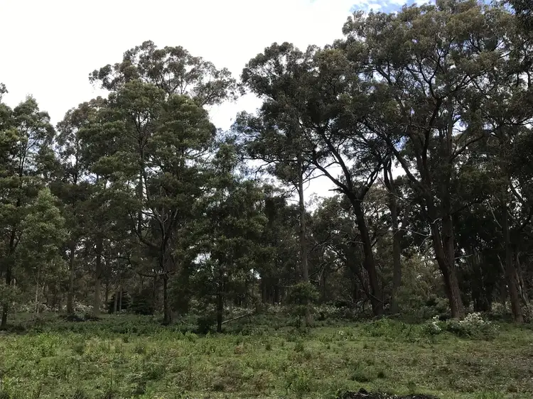 Fifth view of Homely land listing, Lot 2 Ingles Road, Devon North VIC 3971