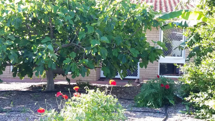 Third view of Homely house listing, 447 Morrison Road, Swan View WA 6056