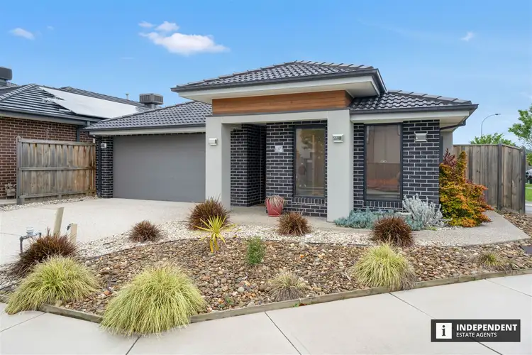 12 Palacio Terrace, Clyde North VIC 3978