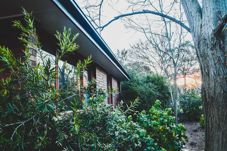 Second view of Homely house listing, 8 Fitzmaurice Street, Kaleen ACT 2617