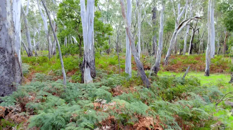 Lot 9 Red Gum Lease Track, Halls Gap VIC 3381