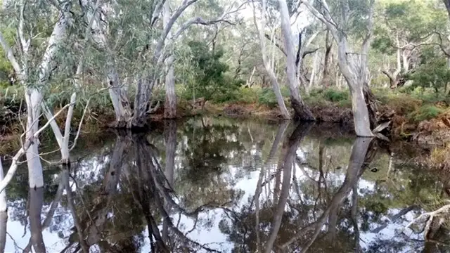 Second view of Homely rural property listing, Lot 9 Red Gum Lease Track, Halls Gap VIC 3381