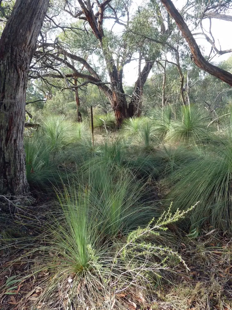 Third view of Homely rural property listing, Lot 9 Red Gum Lease Track, Halls Gap VIC 3381
