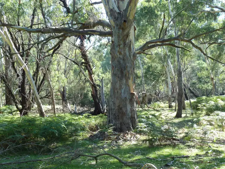 Fourth view of Homely rural property listing, Lot 9 Red Gum Lease Track, Halls Gap VIC 3381