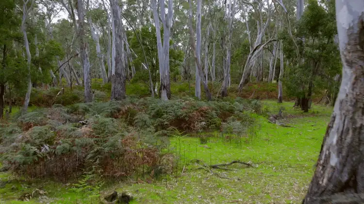 Sixth view of Homely rural property listing, Lot 9 Red Gum Lease Track, Halls Gap VIC 3381