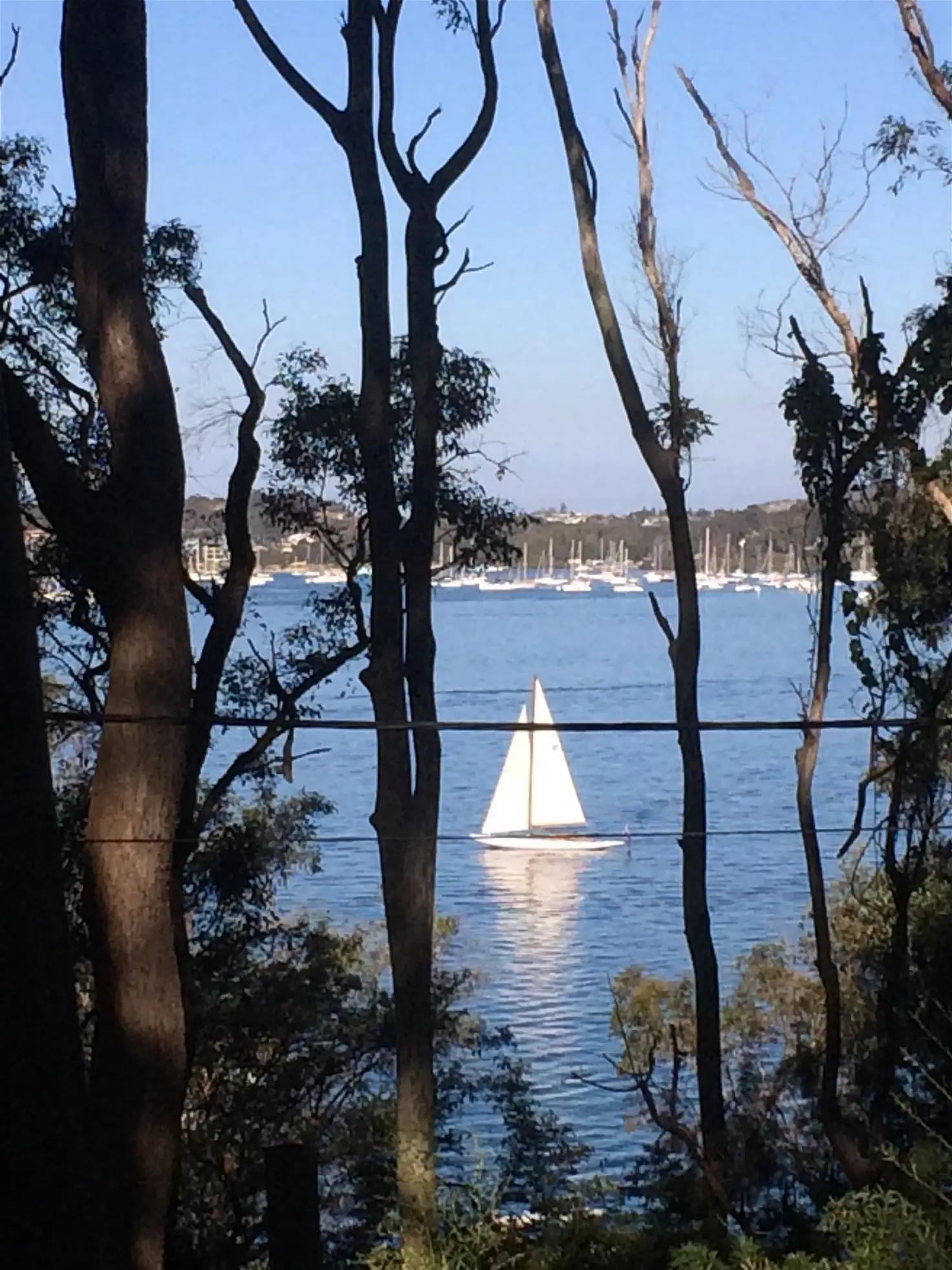 Main view of Homely land listing, 76 Florence Terrace, Scotland Island NSW 2105