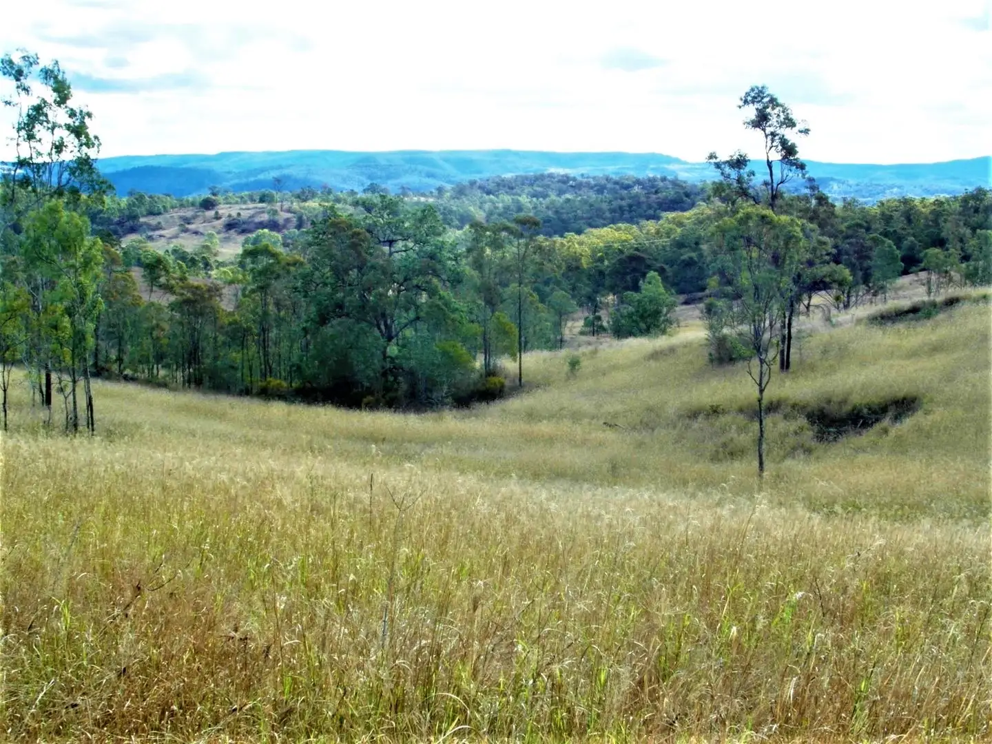 Main view of Homely rural property listing, Lots 65/69 Brothers Road, Emu Creek QLD 4355