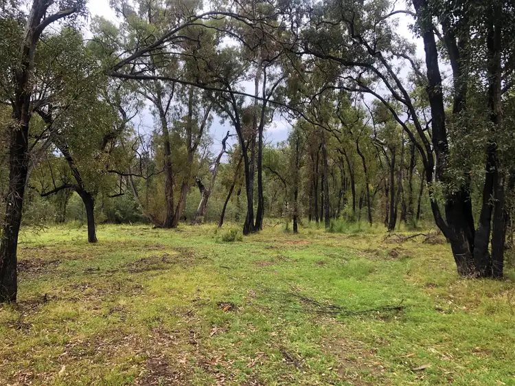 550 Cainbil Road, Mudgee NSW 2850