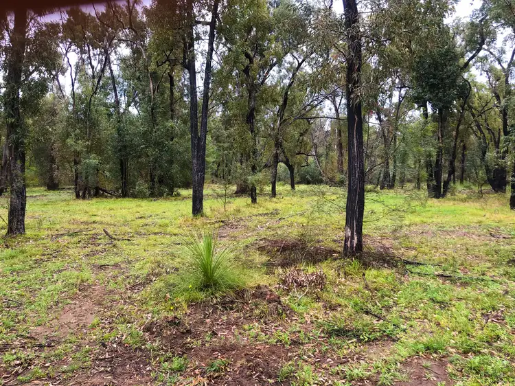 Fifth view of Homely land listing, 550 Cainbil Road, Mudgee NSW 2850