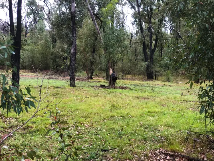 Sixth view of Homely land listing, 550 Cainbil Road, Mudgee NSW 2850
