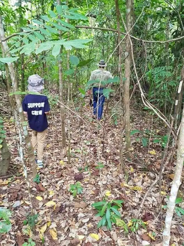 Sixth view of Homely land listing, Lot 34 Cape Tribulation Road, Diwan QLD 4873