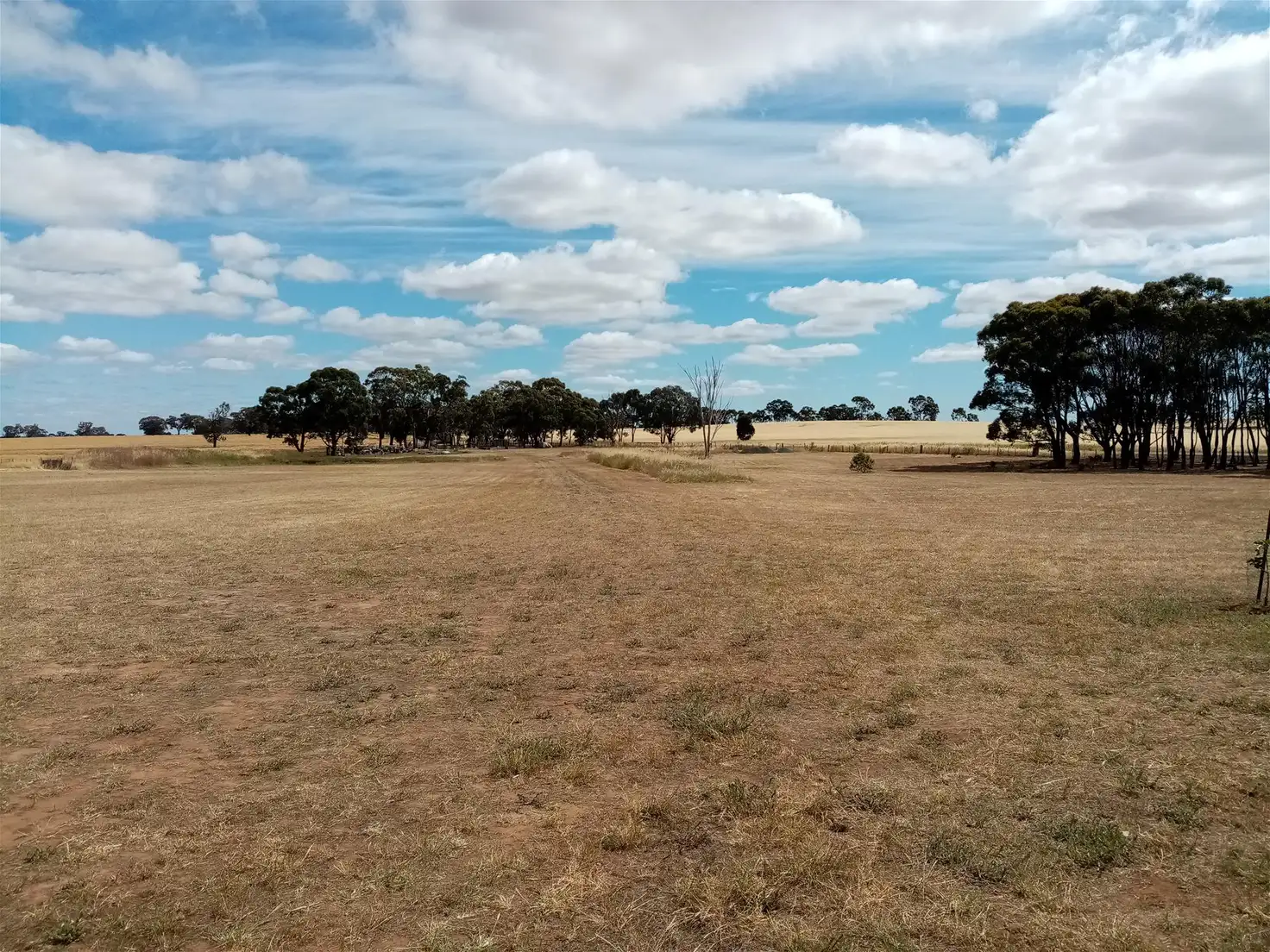 Main view of Homely land listing, - Heathcote-Rochester Road, Bonn VIC 3561