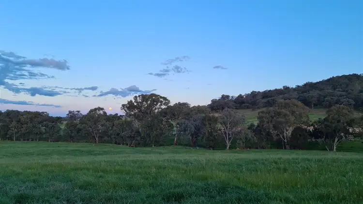 Lot 910 Protea Court, Jindera NSW 2642