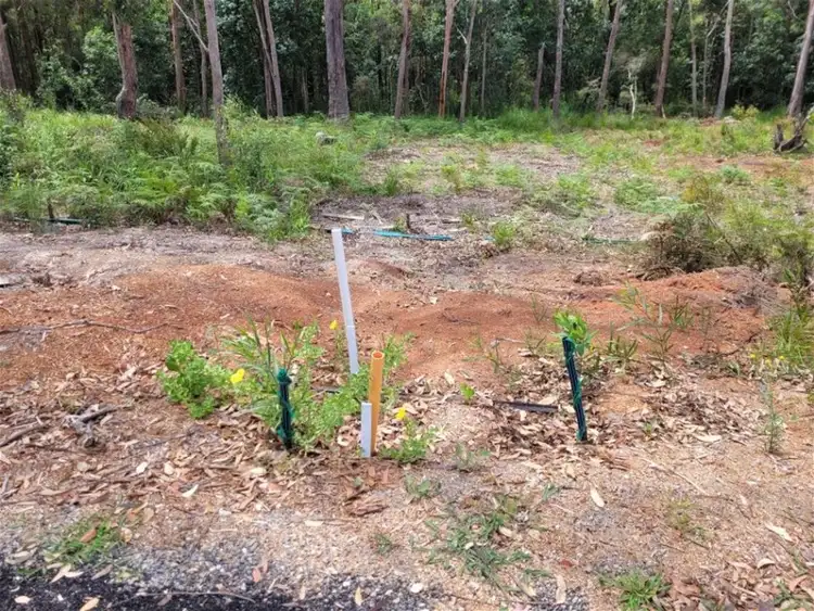 Fifth view of Homely land listing, 24 Fred Avery Drive, Buttaba NSW 2283