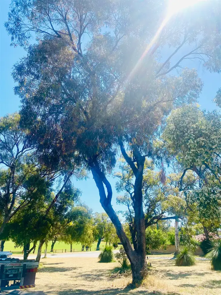 Main view of Homely land listing, 19a Dent Court, Orelia WA 6167