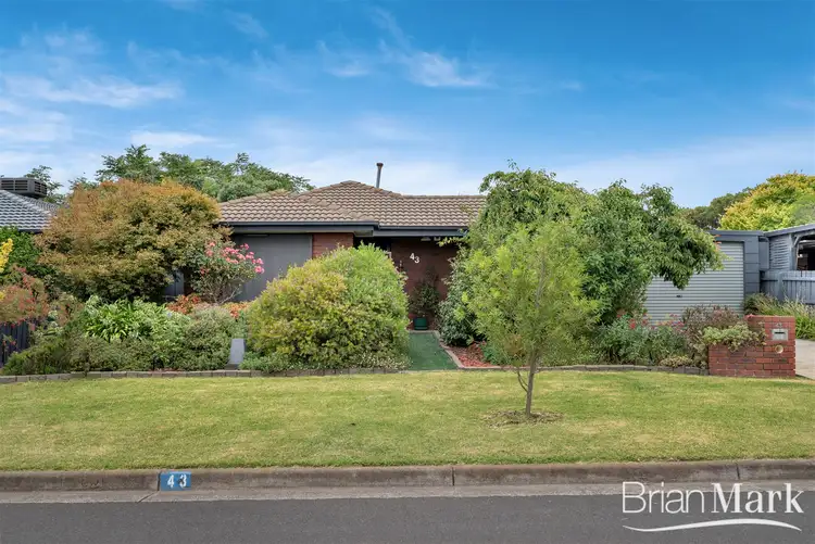 43 Flemington Crescent, Werribee VIC 3030