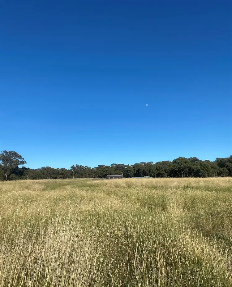 35 TOUT PLACE, Young NSW 2594