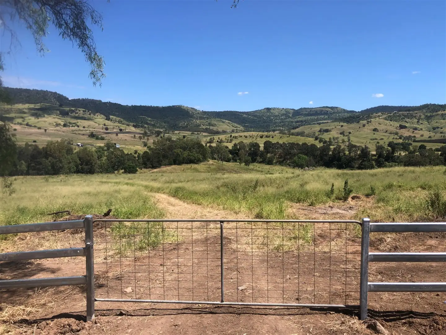 Main view of Homely rural property listing, Lot 1 Gatton Clifton Road, Mount Whitestone QLD 4347