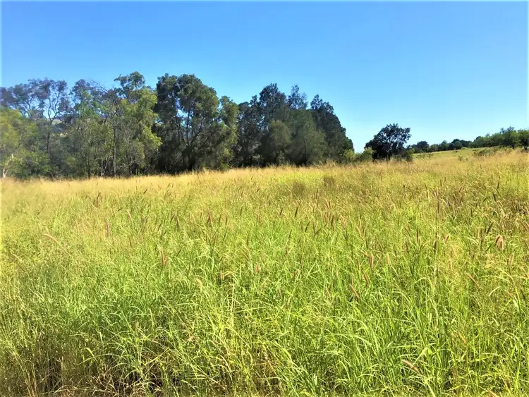 Sixth view of Homely rural property listing, Lot 1 Gatton Clifton Road, Mount Whitestone QLD 4347
