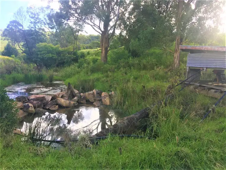 Third view of Homely rural property listing, 87 Post Office Road, Ravensbourne QLD 4352