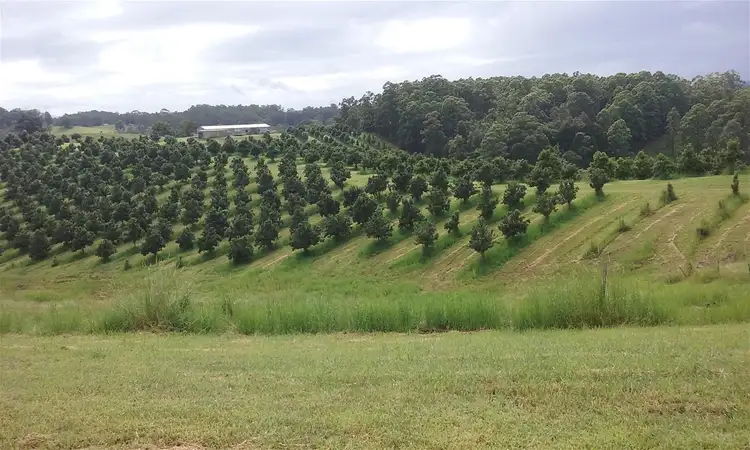 Main view of Homely rural property listing, 336 Congarinni Road South, Congarinni NSW 2447