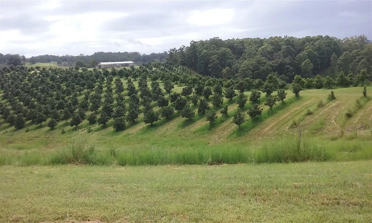 Main view of Homely rural property listing, 336 Congarinni Road South, Congarinni NSW 2447
