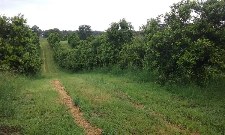 Second view of Homely rural property listing, 336 Congarinni Road South, Congarinni NSW 2447