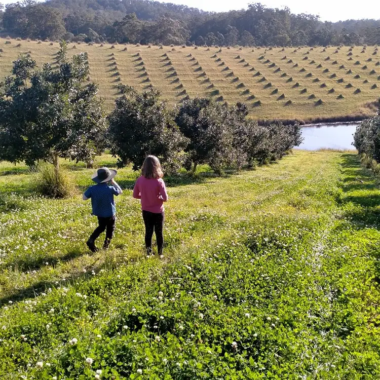 Fourth view of Homely rural property listing, 336 Congarinni Road South, Congarinni NSW 2447