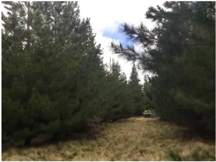 Seventh view of Homely rural property listing, Lot 2/DP548426 Lee Archers Road, Tumorrama NSW 2720