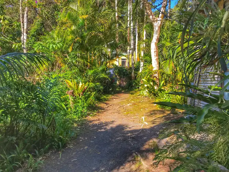 Main view of Homely rural property listing, 904 Blue Knob Road, Nimbin NSW 2480