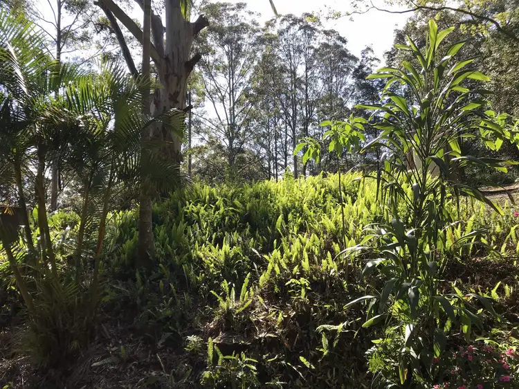 Fourth view of Homely rural property listing, 904 Blue Knob Road, Nimbin NSW 2480