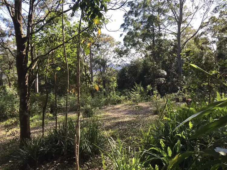 Fifth view of Homely rural property listing, 904 Blue Knob Road, Nimbin NSW 2480