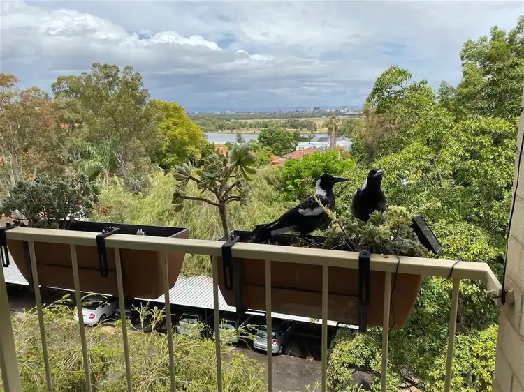 Third view of Homely unit listing, 43/26 Stanley Street, Mount Lawley WA 6050