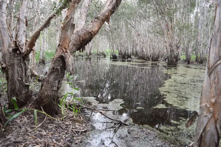 Sixth view of Homely land listing, 54 Kassman Drive, Rosedale QLD 4674
