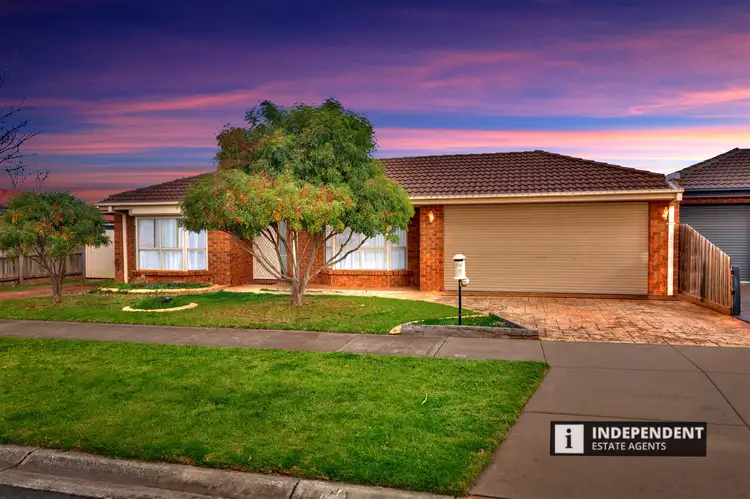 19 Clarendon Drive, Melton South VIC 3338