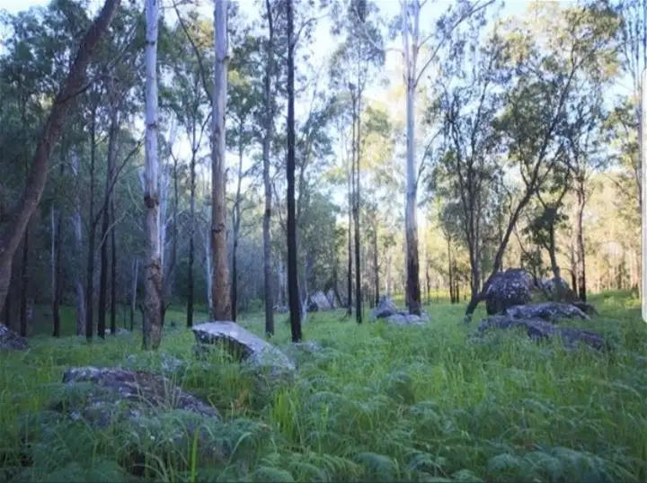 1554 Kangaroo Creek Road, Kangaroo Creek NSW 2460