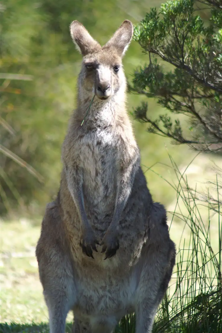 Fourth view of Homely land listing, 65 Fairway Avenue, Golden Beach VIC 3851