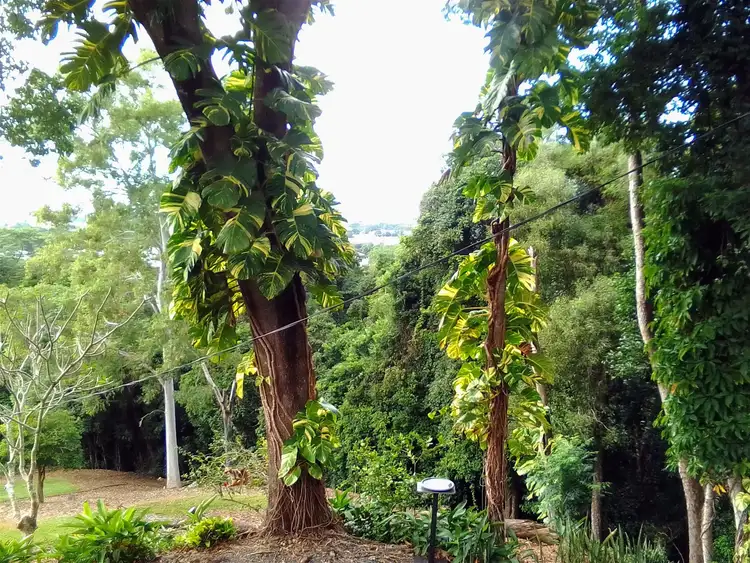 Seventh view of Homely house listing, Lot 154 Kennedy Hwy., Smithfield QLD 4878