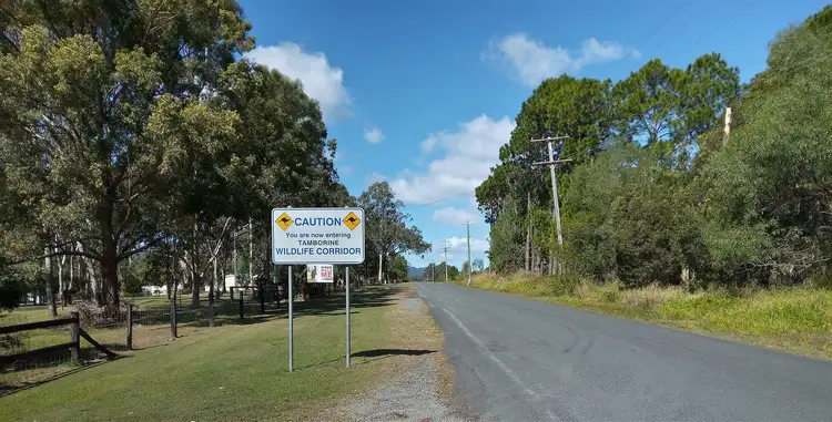 Fourth view of Homely house listing, 145 Palomino Road, Tamborine QLD 4270
