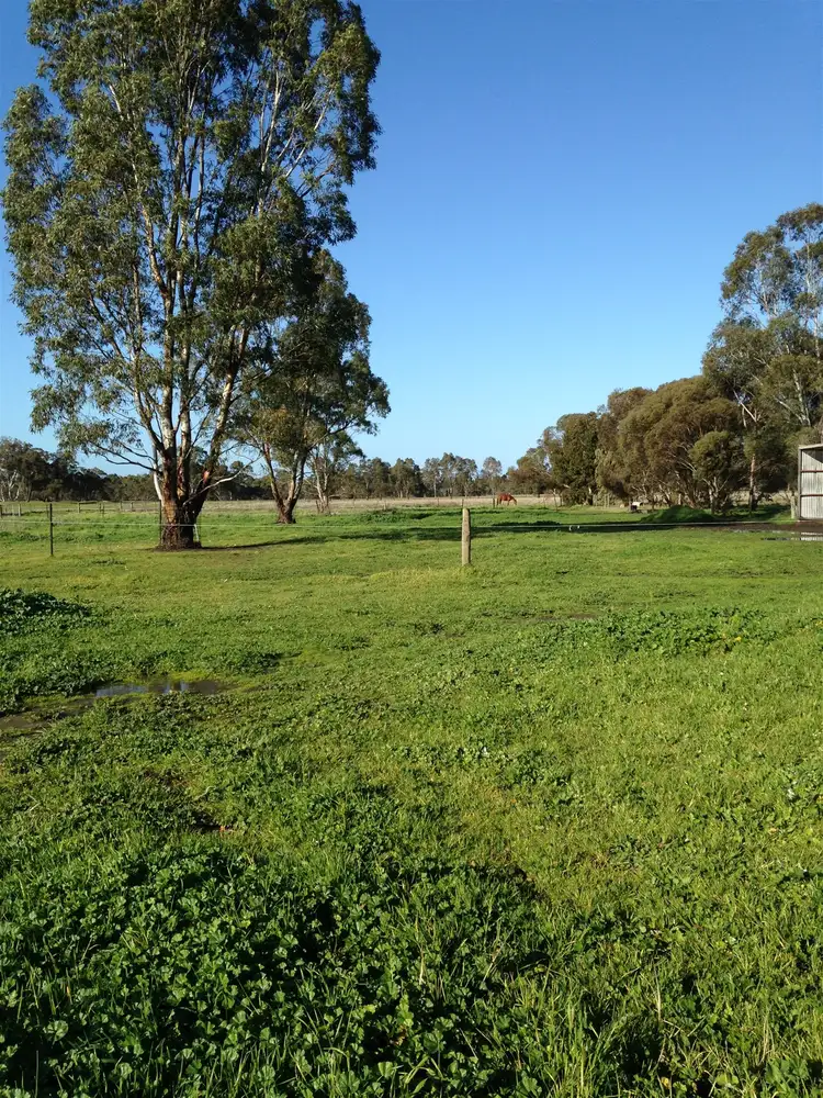 Seventh view of Homely house listing, 37 Netherway Drive, Quantong VIC 3401