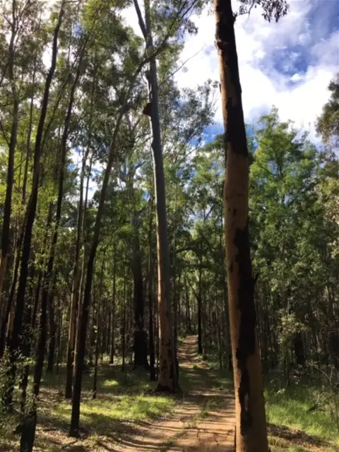 Fifth view of Homely land listing, Lot 182 Black Mountain Road, Nymboida NSW 2460