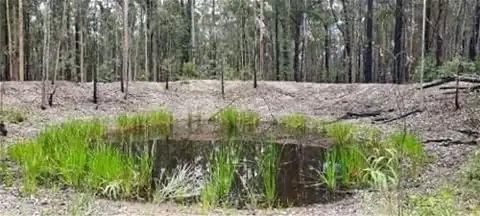 Seventh view of Homely land listing, Lot 182 Black Mountain Road, Nymboida NSW 2460