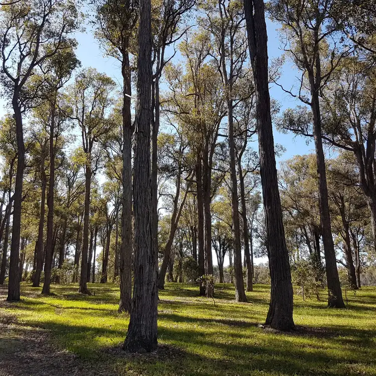 Seventh view of Homely rural property listing, 311 Patstone Road, Collie WA 6225