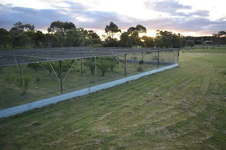Fifth view of Homely rural property listing, 170 Chopping Street, Manjimup WA 6258